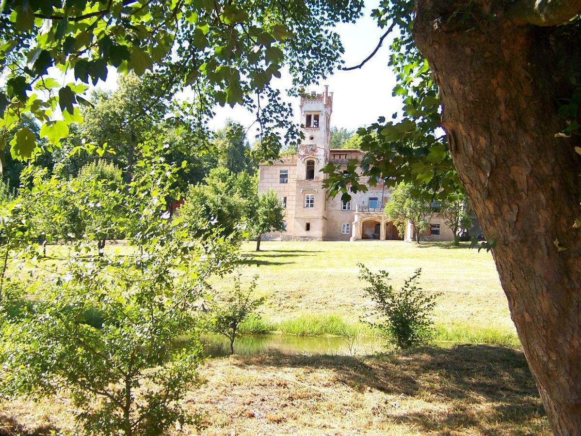 Dabrowica  Palac Dabrowica מראה חיצוני תמונה